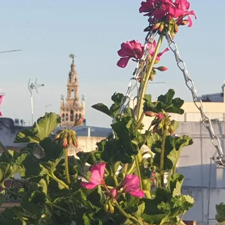Apartment Dona Lola Corner Seville
