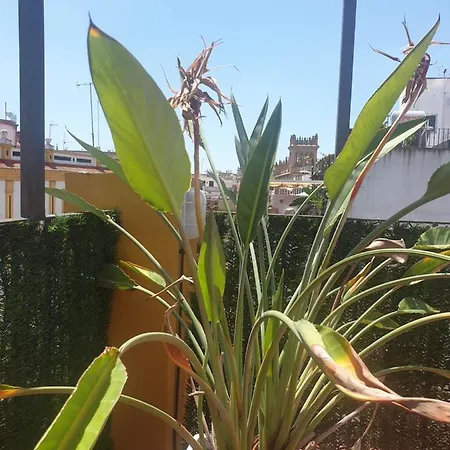 Dona Lola Corner Apartment *